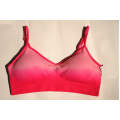 Champion Double Dry Sports Bra with Padded